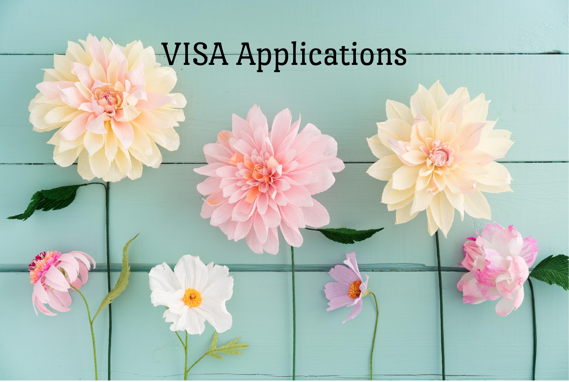 visa